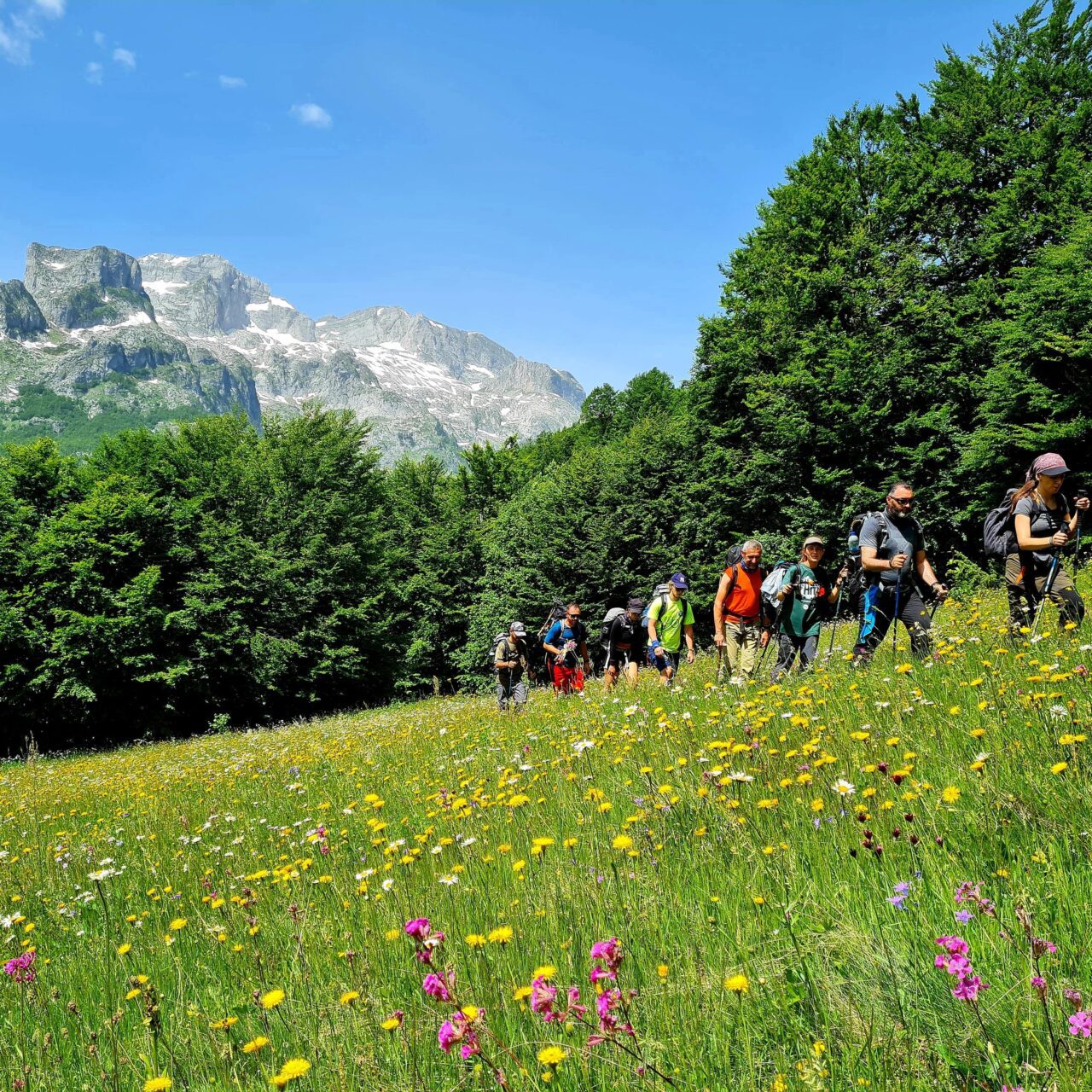 Peaks of the Balkans Trail